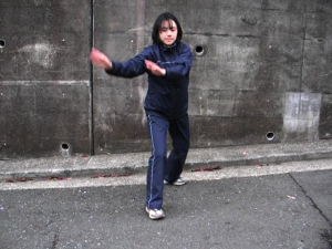 syukibiwa5